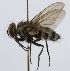  (Hypoproxynops Janzen2349 - inb0003149618)  @13 [ ] Unspecified (default): All Rights Reserved  Unspecified Unspecified