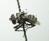  ( - inb0003426449)  @13 [ ] Unspecified (default): All Rights Reserved  Unspecified Unspecified
