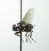  ( - inb0003493911)  @14 [ ] Unspecified (default): All Rights Reserved  Unspecified Unspecified