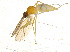  ( - BIOUG14573-B09)  @11 [ ] CreativeCommons - Attribution Non-Commercial Share-Alike (2011) M. Alex Smith University of Guelph