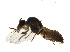  ( - BIOUG14573-C05)  @13 [ ] CreativeCommons - Attribution Non-Commercial Share-Alike (2011) M. Alex Smith University of Guelph