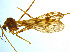  ( - BIOUG14573-D07)  @13 [ ] CreativeCommons - Attribution Non-Commercial Share-Alike (2011) M. Alex Smith University of Guelph