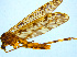  ( - BIOUG14573-D10)  @13 [ ] CreativeCommons - Attribution Non-Commercial Share-Alike (2011) M. Alex Smith University of Guelph