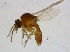  ( - BIOUG14573-G10)  @13 [ ] CreativeCommons - Attribution Non-Commercial Share-Alike (2011) M. Alex Smith University of Guelph