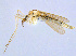  ( - BIOUG14573-H04)  @13 [ ] CreativeCommons - Attribution Non-Commercial Share-Alike (2011) M. Alex Smith University of Guelph