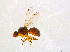  ( - BIOUG14575-E02)  @12 [ ] CreativeCommons - Attribution Non-Commercial Share-Alike (2011) M. Alex Smith University of Guelph
