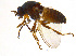  ( - BIOUG14575-E11)  @13 [ ] CreativeCommons - Attribution Non-Commercial Share-Alike (2011) M. Alex Smith University of Guelph