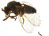  ( - BIOUG14575-F06)  @13 [ ] CreativeCommons - Attribution Non-Commercial Share-Alike (2011) M. Alex Smith University of Guelph