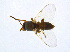 ( - BIOUG14575-F07)  @13 [ ] CreativeCommons - Attribution Non-Commercial Share-Alike (2011) M. Alex Smith University of Guelph