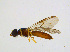  ( - BIOUG14575-G09)  @13 [ ] CreativeCommons - Attribution Non-Commercial Share-Alike (2011) M. Alex Smith University of Guelph