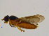  ( - BIOUG14575-H01)  @11 [ ] CreativeCommons - Attribution Non-Commercial Share-Alike (2011) M. Alex Smith University of Guelph
