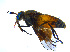  ( - BIOUG14576-A09)  @13 [ ] CreativeCommons - Attribution Non-Commercial Share-Alike (2011) M. Alex Smith University of Guelph