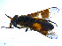  ( - BIOUG14576-B01)  @13 [ ] CreativeCommons - Attribution Non-Commercial Share-Alike (2011) M. Alex Smith University of Guelph