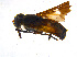  ( - BIOUG14576-B08)  @13 [ ] CreativeCommons - Attribution Non-Commercial Share-Alike (2011) M. Alex Smith University of Guelph