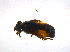  ( - BIOUG14576-B09)  @13 [ ] CreativeCommons - Attribution Non-Commercial Share-Alike (2011) M. Alex Smith University of Guelph