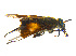  ( - BIOUG14576-C01)  @13 [ ] CreativeCommons - Attribution Non-Commercial Share-Alike (2011) M. Alex Smith University of Guelph