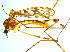  ( - BIOUG14576-C03)  @13 [ ] CreativeCommons - Attribution Non-Commercial Share-Alike (2011) M. Alex Smith University of Guelph