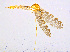  ( - BIOUG14576-C12)  @11 [ ] CreativeCommons - Attribution Non-Commercial Share-Alike (2011) M. Alex Smith University of Guelph