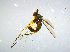  ( - BIOUG14577-B09)  @12 [ ] CreativeCommons - Attribution Non-Commercial Share-Alike (2011) M. Alex Smith University of Guelph