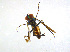  ( - BIOUG14577-B12)  @12 [ ] CreativeCommons - Attribution Non-Commercial Share-Alike (2011) M. Alex Smith University of Guelph