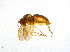  ( - BIOUG14577-C06)  @11 [ ] CreativeCommons - Attribution Non-Commercial Share-Alike (2011) M. Alex Smith University of Guelph