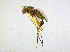  ( - BIOUG14577-C07)  @13 [ ] CreativeCommons - Attribution Non-Commercial Share-Alike (2011) M. Alex Smith University of Guelph