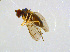  ( - BIOUG14577-C08)  @11 [ ] CreativeCommons - Attribution Non-Commercial Share-Alike (2011) M. Alex Smith University of Guelph