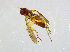  ( - BIOUG14577-C09)  @11 [ ] CreativeCommons - Attribution Non-Commercial Share-Alike (2011) M. Alex Smith University of Guelph