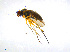 ( - BIOUG14577-C10)  @12 [ ] CreativeCommons - Attribution Non-Commercial Share-Alike (2011) M. Alex Smith University of Guelph