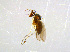  ( - BIOUG14577-C11)  @12 [ ] CreativeCommons - Attribution Non-Commercial Share-Alike (2011) M. Alex Smith University of Guelph