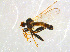  ( - BIOUG14577-D06)  @14 [ ] CreativeCommons - Attribution Non-Commercial Share-Alike (2011) M. Alex Smith University of Guelph