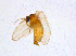  ( - BIOUG14578-B01)  @12 [ ] CreativeCommons - Attribution Non-Commercial Share-Alike (2011) M. Alex Smith University of Guelph