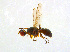  ( - BIOUG14578-D06)  @12 [ ] CreativeCommons - Attribution Non-Commercial Share-Alike (2011) M. Alex Smith University of Guelph