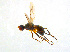  ( - BIOUG14578-D08)  @12 [ ] CreativeCommons - Attribution Non-Commercial Share-Alike (2011) M. Alex Smith University of Guelph