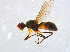  ( - BIOUG14578-D09)  @13 [ ] CreativeCommons - Attribution Non-Commercial Share-Alike (2011) M. Alex Smith University of Guelph