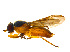  ( - BIOUG14578-F07)  @11 [ ] CreativeCommons - Attribution Non-Commercial Share-Alike (2011) M. Alex Smith University of Guelph