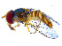  ( - BIOUG14578-G02)  @13 [ ] CreativeCommons - Attribution Non-Commercial Share-Alike (2011) M. Alex Smith University of Guelph