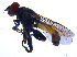  ( - BIOUG14578-G07)  @12 [ ] CreativeCommons - Attribution Non-Commercial Share-Alike (2011) M. Alex Smith University of Guelph