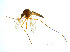  ( - BIOUG14579-G03)  @13 [ ] CreativeCommons - Attribution Non-Commercial Share-Alike (2011) M. Alex Smith University of Guelph