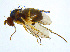  ( - BIOUG14579-G08)  @13 [ ] CreativeCommons - Attribution Non-Commercial Share-Alike (2011) M. Alex Smith University of Guelph
