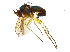  ( - BIOUG14579-G10)  @14 [ ] CreativeCommons - Attribution Non-Commercial Share-Alike (2011) M. Alex Smith University of Guelph