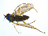  ( - BIOUG14579-G11)  @13 [ ] CreativeCommons - Attribution Non-Commercial Share-Alike (2011) M. Alex Smith University of Guelph