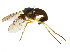  ( - BIOUG14579-G12)  @13 [ ] CreativeCommons - Attribution Non-Commercial Share-Alike (2011) M. Alex Smith University of Guelph