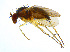 ( - BIOUG14579-H01)  @11 [ ] CreativeCommons - Attribution Non-Commercial Share-Alike (2011) M. Alex Smith University of Guelph