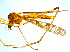  ( - BIOUG14580-H02)  @13 [ ] CreativeCommons - Attribution Non-Commercial Share-Alike (2011) M. Alex Smith Universtiy of Guelph