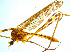  ( - BIOUG14580-H06)  @13 [ ] CreativeCommons - Attribution Non-Commercial Share-Alike (2011) M. Alex Smith Universtiy of Guelph