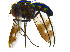  ( - BIOUG14581-E02)  @12 [ ] CreativeCommons - Attribution Non-Commercial Share-Alike (2011) M. Alex Smith University of Guelph