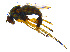  ( - BIOUG14581-E10)  @11 [ ] CreativeCommons - Attribution Non-Commercial Share-Alike (2011) M. Alex Smith University of Guelph