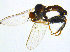  ( - BIOUG14581-E12)  @13 [ ] CreativeCommons - Attribution Non-Commercial Share-Alike (2011) M. Alex Smith University of Guelph