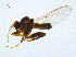  ( - BIOUG14581-F04)  @13 [ ] CreativeCommons - Attribution Non-Commercial Share-Alike (2011) M. Alex Smith University of Guelph